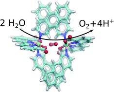 Graphical abstract: Dispersion forces drive water oxidation in molecular ruthenium catalysts