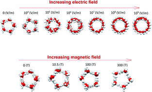 Graphical abstract: Phase transitions in nanostructured water confined in carbon nanotubes by external electric and magnetic fields: a molecular dynamics investigation