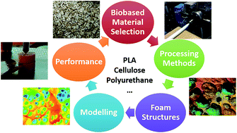 Graphical abstract: Biobased foams for thermal insulation: material selection, processing, modelling, and performance