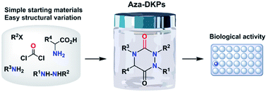 Graphical abstract: Three cheers for nitrogen: aza-DKPs, the aza analogues of 2,5-diketopiperazines