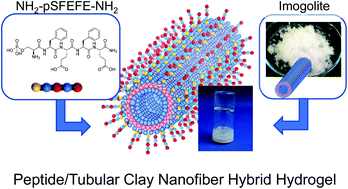 Graphical abstract: Preparation of an (inorganic/organic) hybrid hydrogel from a peptide oligomer and a tubular aluminosilicate nanofiber