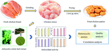 Graphical abstract: Using Adinandra nitida leaf extract to prevent heterocyclic amine formation in fried chicken patties