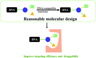 Graphical abstract: DNA-encoded libraries (DELs): a review of on-DNA chemistries and their output
