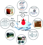 Graphical abstract: Detection techniques of biological and chemical Hall sensors