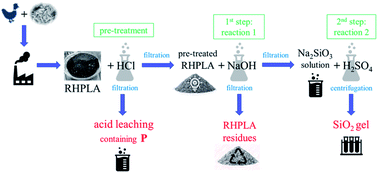 Graphical abstract: Simultaneous amorphous silica and phosphorus recovery from rice husk poultry litter ash