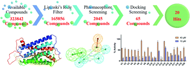 Graphical abstract: Ligand-based pharmacophore modeling, virtual screening and biological evaluation to identify novel TGR5 agonists