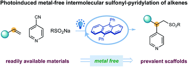 Graphical abstract: Organic-photoredox-catalyzed three-component sulfonylative pyridylation of styrenes