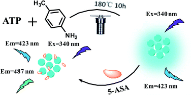 Graphical abstract: Construction of a ratio fluorescence assay of 5-aminosalicylic acid based on its aggregation induced emission with blue emitting N/P-codoped carbon dots