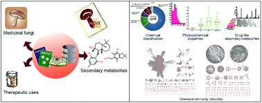 Graphical abstract: MeFSAT: a curated natural product database specific to secondary metabolites of medicinal fungi