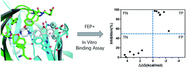 Graphical abstract: In silico studies of ASEM analogues targeting α7-nAChR and experimental verification