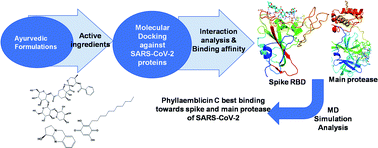 Graphical abstract: A phytochemical-based medication search for the SARS-CoV-2 infection by molecular docking models towards spike glycoproteins and main proteases