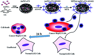 Graphical abstract: A dual-functional nanovehicle with fluorescent tracking and its targeted killing effects on hepatocellular carcinoma cells