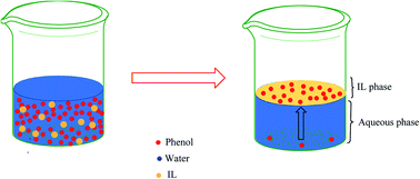 Graphical abstract: Ionic liquids and deep eutectic solvents for the recovery of phenolic compounds: effect of ionic liquids structure and process parameters