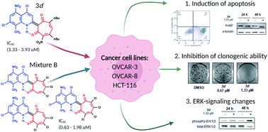 Graphical abstract: Design, synthesis and biological evaluation of 2-quinolyl-1,3-tropolone derivatives as new anti-cancer agents