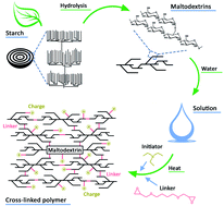 Graphical abstract: One-step sustainable synthesis of cationic high-swelling polymers obtained from starch-derived maltodextrins