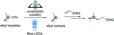 Graphical abstract: Visible light-driven Giese reaction with alkyl tosylates catalysed by nucleophilic cobalt