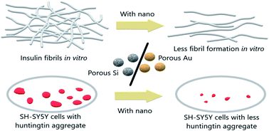 Graphical abstract: Impact of porous nanomaterials on inhibiting protein aggregation behaviour