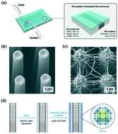 Graphical abstract: 3D nanoweb-like zeolitic imidazole framework in a microfluidic system for catalytic applications