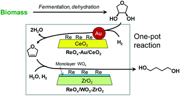 Graphical abstract: Tungsten–zirconia-supported rhenium catalyst combined with a deoxydehydration catalyst for the one-pot synthesis of 1,4-butanediol from 1,4-anhydroerythritol
