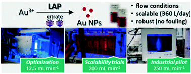Graphical abstract: Scalable and robust photochemical flow process towards small spherical gold nanoparticles