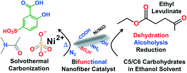Graphical abstract: Bifunctional carbon Ni/NiO nanofiber catalyst based on 5-sulfosalicylic acid for conversion of C5/C6 carbohydrates into ethyl levulinate