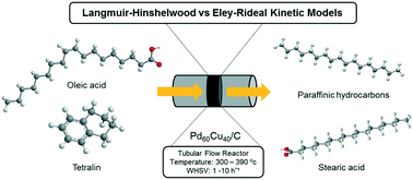 Graphical abstract: Kinetic modelling of hydrogen transfer deoxygenation of a prototypical fatty acid over a bimetallic Pd60Cu40 catalyst: an investigation of the surface reaction mechanism and rate limiting step