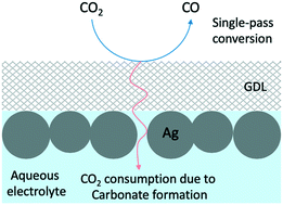 Graphical abstract: Investigation of CO2 single-pass conversion in a flow electrolyzer