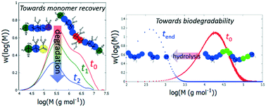 Graphical abstract: Connecting polymer synthesis and chemical recycling on a chain-by-chain basis: a unified matrix-based kinetic Monte Carlo strategy