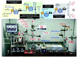 Graphical abstract: Integrated multi-step continuous flow synthesis of daclatasvir without intermediate purification and solvent exchange