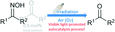 Graphical abstract: Autocatalytic deoximation reactions driven by visible light