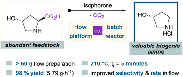 Graphical abstract: Enone-promoted decarboxylation of trans-4-hydroxy-l-proline in flow: a side-by-side comparison to batch