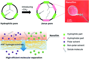 Graphical abstract: Controllable synthesis of a chemically stable molecular sieving nanofilm for highly efficient organic solvent nanofiltration