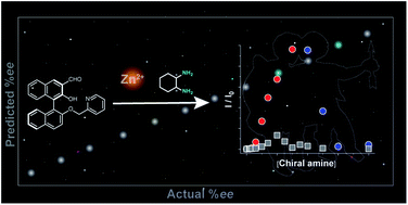 Graphical abstract: Accurate chiral pattern recognition for amines from just a single chemosensor