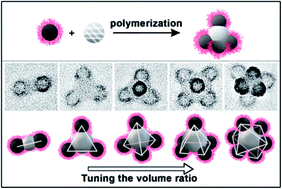 Graphical abstract: Synthesis of ABn-type colloidal molecules by polymerization-induced particle-assembly (PIPA)