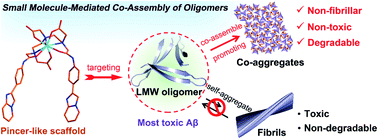 Graphical abstract: Small molecule-mediated co-assembly of amyloid-β oligomers reduces neurotoxicity through promoting non-fibrillar aggregation