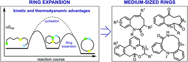 Graphical abstract: A happy medium: the synthesis of medicinally important medium-sized rings via ring expansion