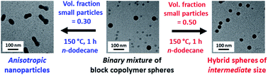 Graphical abstract: SAXS studies of the thermally-induced fusion of diblock copolymer spheres: formation of hybrid nanoparticles of intermediate size and shape