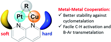 Graphical abstract: Metal–metal cooperative bond activation by heterobimetallic alkyl, aryl, and acetylide PtII/CuI complexes