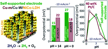 Graphical abstract: An earth-abundant bimetallic catalyst coated metallic nanowire grown electrode with platinum-like pH-universal hydrogen evolution activity at high current density