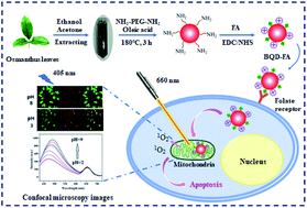 Graphical abstract: A multifunctional nanoprobe for targeting tumors and mitochondria with singlet oxygen generation and monitoring mitochondrion pH changes in cancer cells by ratiometric fluorescence imaging
