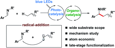 Graphical abstract: Allylic C(sp3)–H alkylation via synergistic organo- and photoredox catalyzed radical addition to imines