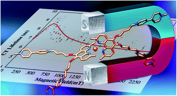 Graphical abstract: Spin-chemical effects on intramolecular photoinduced charge transfer reactions in bisphenanthroline copper(i)-viologen dyad assemblies