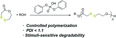 Graphical abstract: Synthesis of poly(disulfide)s with narrow molecular weight distributions via lactone ring-opening polymerization