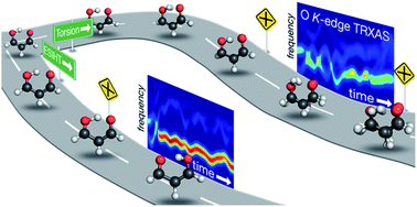 Graphical abstract: Probing competing relaxation pathways in malonaldehyde with transient X-ray absorption spectroscopy