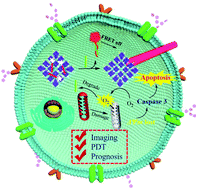 Graphical abstract: A COF-based nanoplatform for highly efficient cancer diagnosis, photodynamic therapy and prognosis