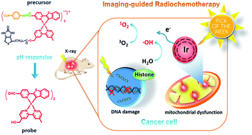 Graphical abstract: A highly X-ray sensitive iridium prodrug for visualized tumor radiochemotherapy