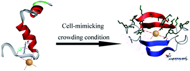 Graphical abstract: Molecular crowding effects on the biochemical properties of amyloid β–heme, Aβ–Cu and Aβ–heme–Cu complexes