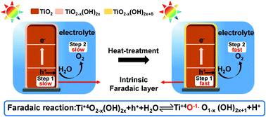 Graphical abstract: Mildly regulated intrinsic faradaic layer at the oxide/water interface for improved photoelectrochemical performance