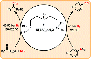 Graphical abstract: General and selective synthesis of primary amines using Ni-based homogeneous catalysts
