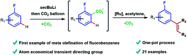 Graphical abstract: meta-Selective olefination of fluoroarenes with alkynes using CO2 as a traceless directing group